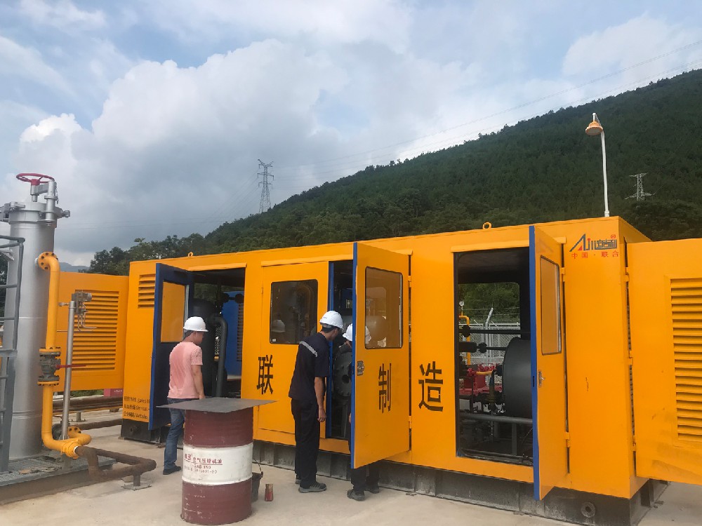 貴州某公司D型天然氣壓縮機